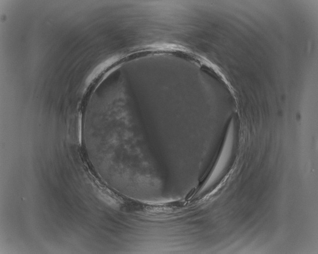 X0000085321171200703091504