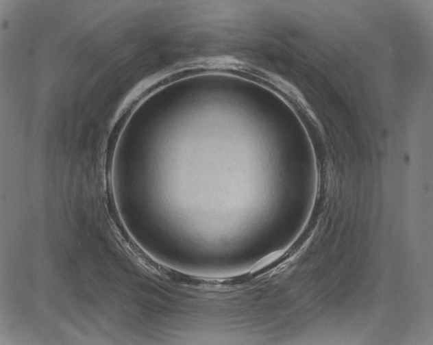 X0000085321176200703091504