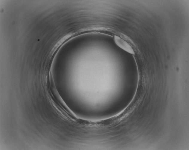 X0000085321177200703091504