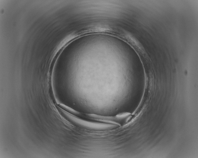 X0000085321178200703091504