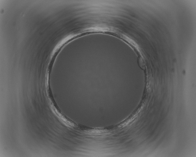 X0000085321179200703091504