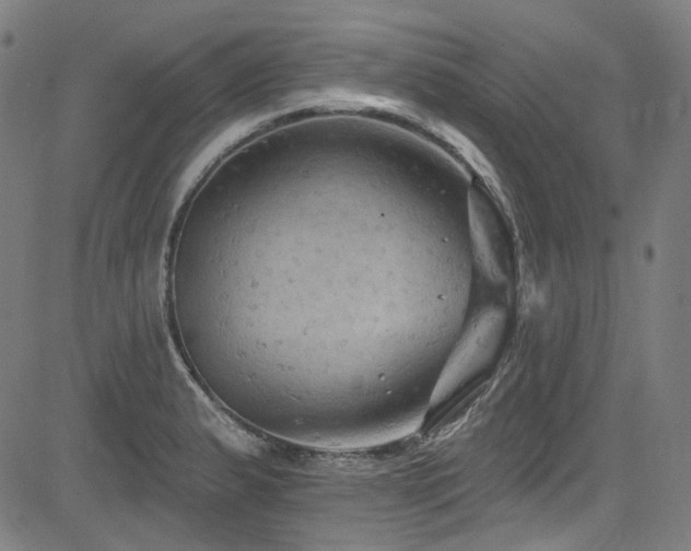 X0000085321183200703091503