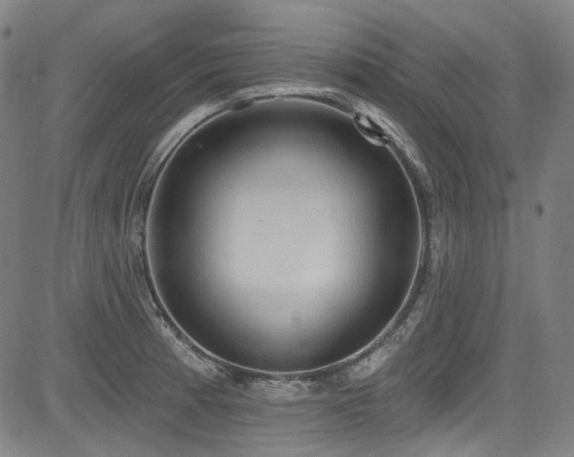 X0000085321185200703091503