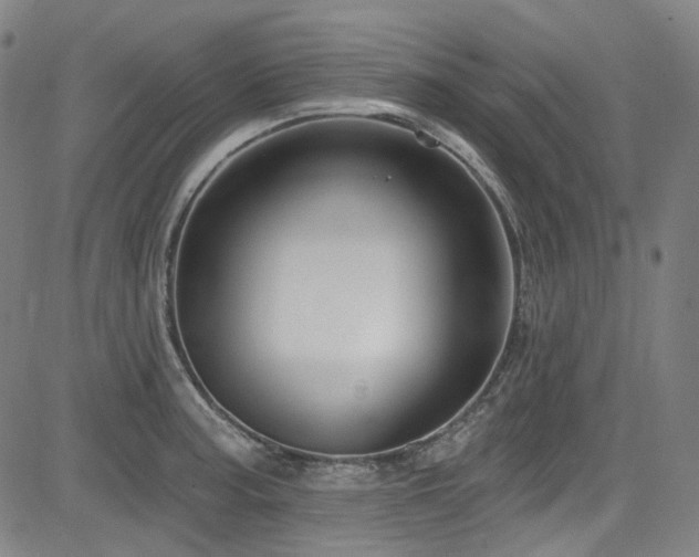 X0000085321187200703091503