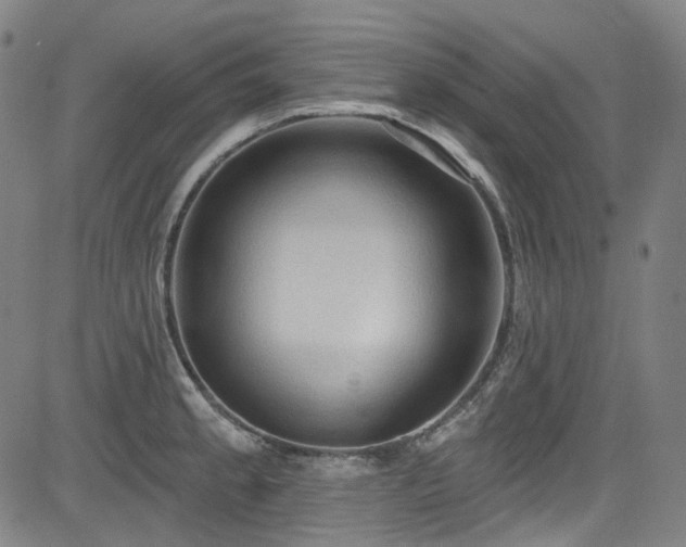 X0000085321189200703091503