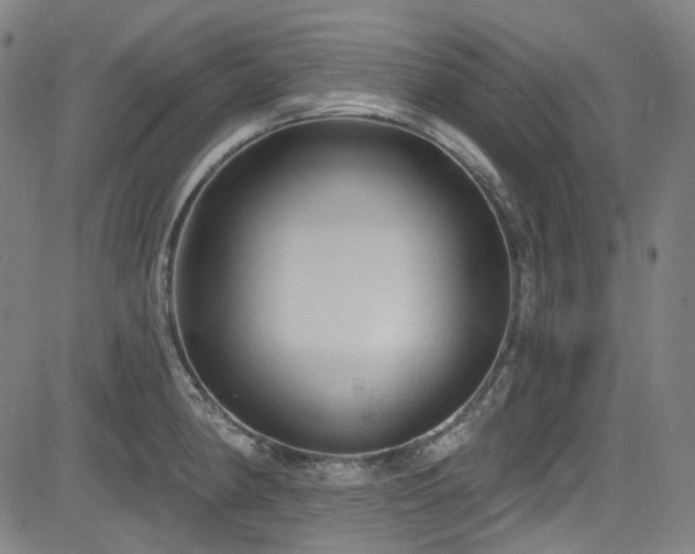 X0000085321190200703091503