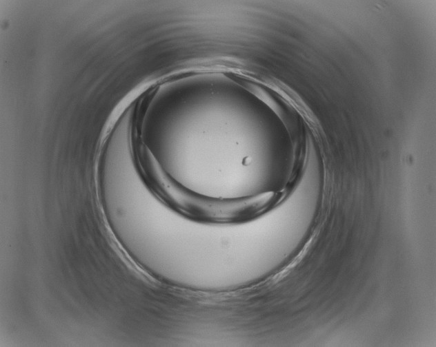 X0000085321196200703091503