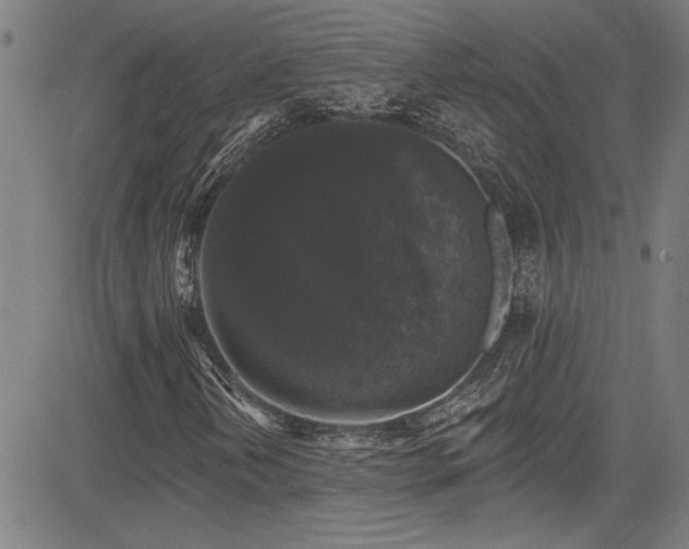 X0000085321202200703091502