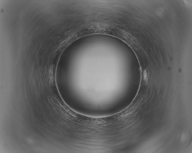 X0000085321203200703091502