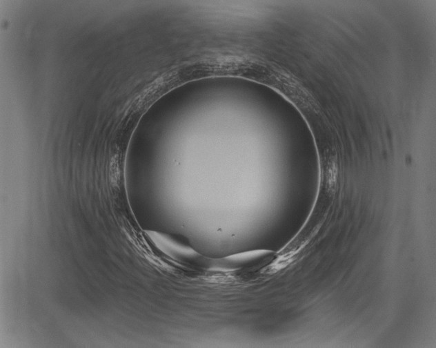X0000085321204200703091502