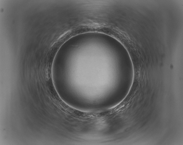X0000085321205200703091502