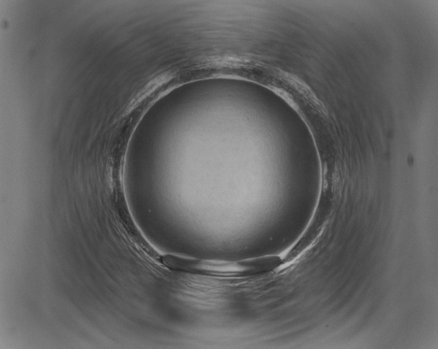 X0000085321209200703091503