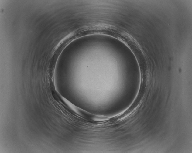 X0000085321210200703091503