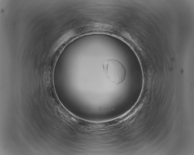 X0000085321211200703091503