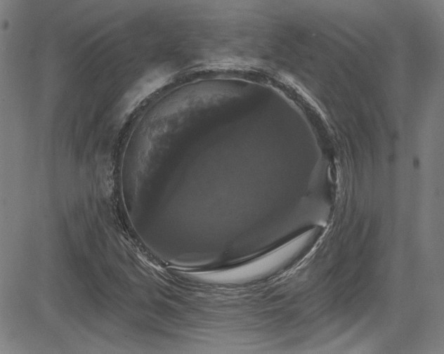 X0000085321213200703091503