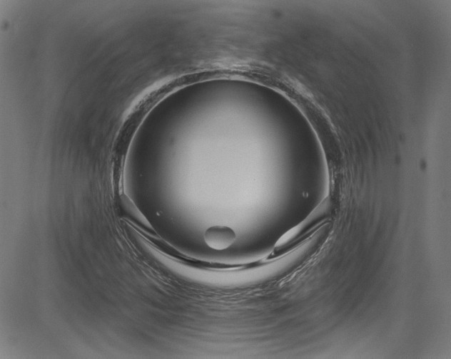 X0000085321214200703091503