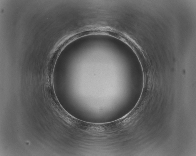 X0000085321215200703091503