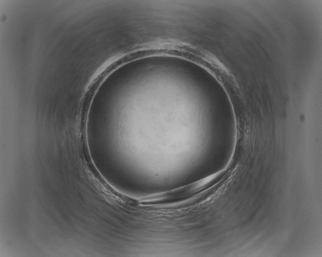X0000085321216200703091503