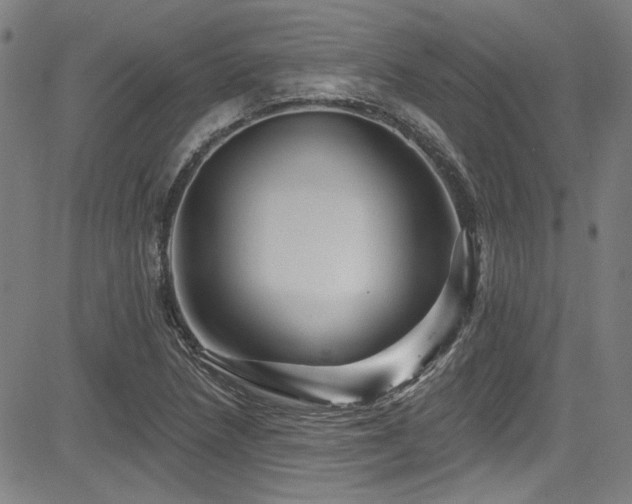 X0000085321218200703091503