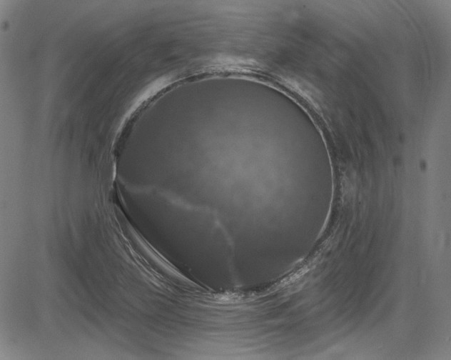 X0000085321219200703091503