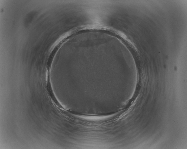 X0000085321221200703091503