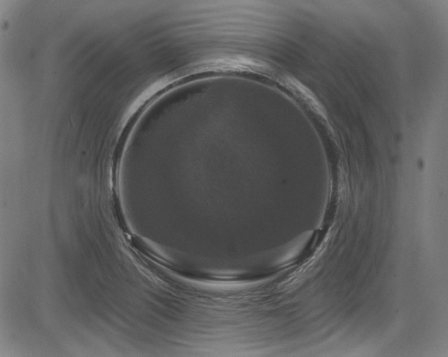 X0000085321226200703091503