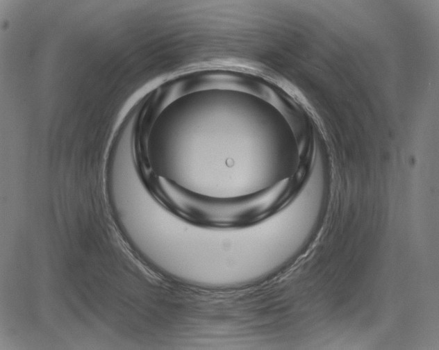 X0000085321230200703091503