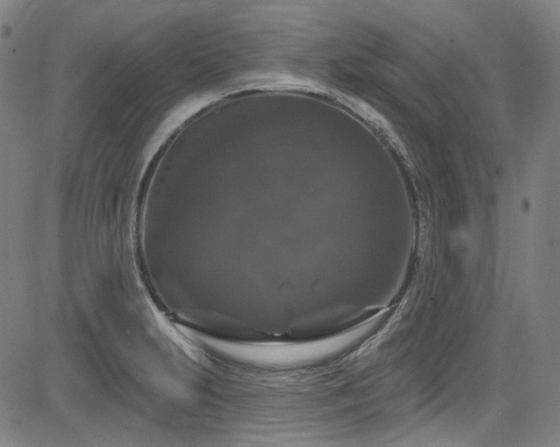 X0000085321231200703091503