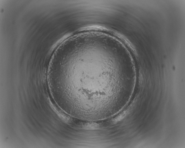X0000085321233200703091503
