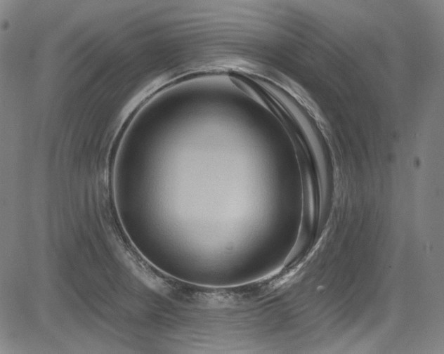 X0000085321234200703091503