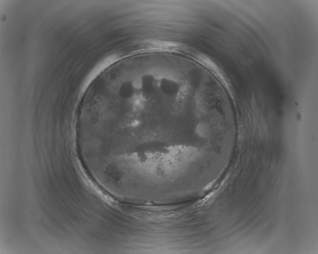 X0000085321235200703091503