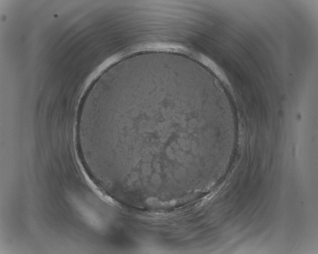 X0000085321237200703091503