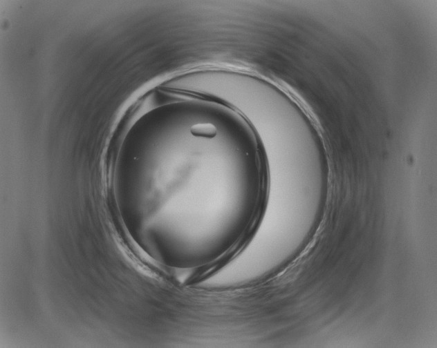 X0000085321238200703091503