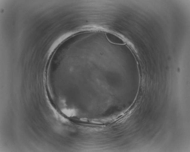 X0000085321239200703091503