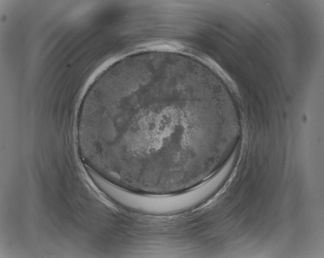 X0000085321240200703091503