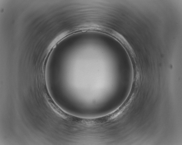 X0000085321242200703091503