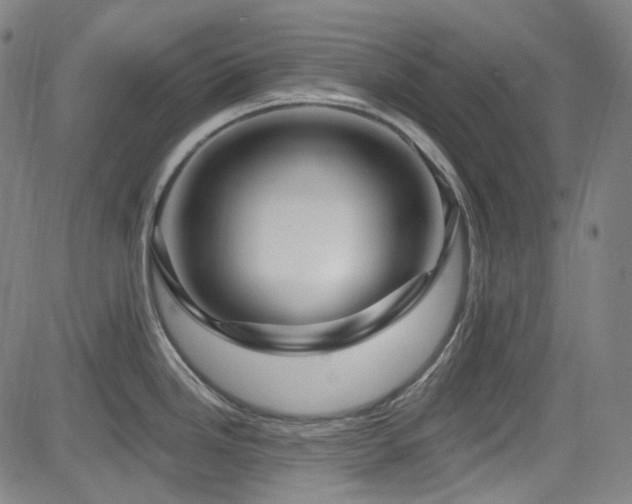 X0000085321246200703091503