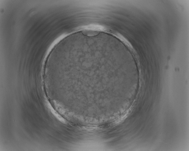 X0000085321248200703091503