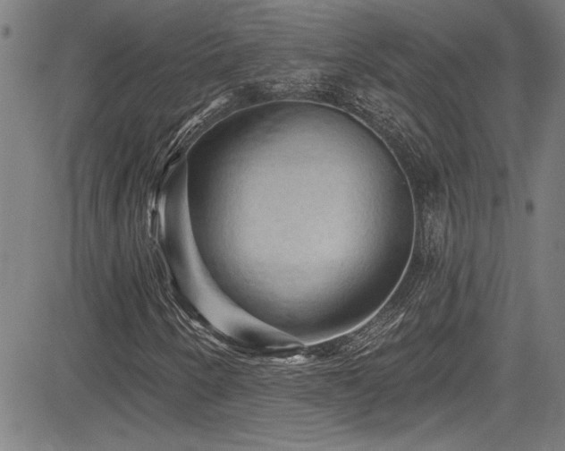 X0000085321250200703091502