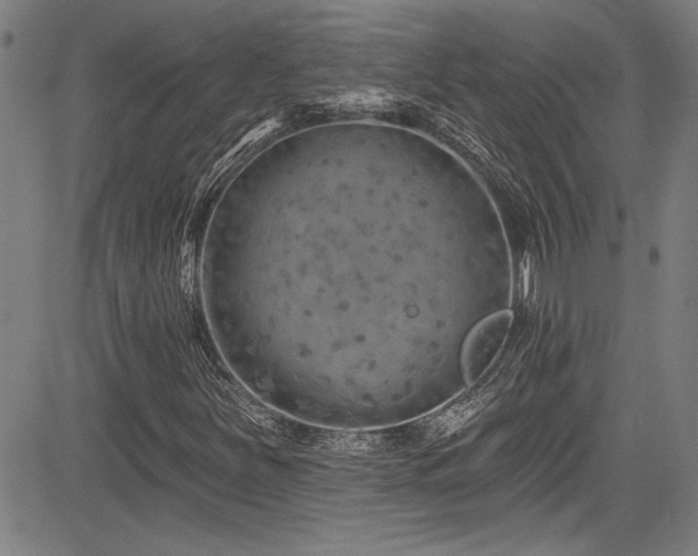 X0000085321251200703091502