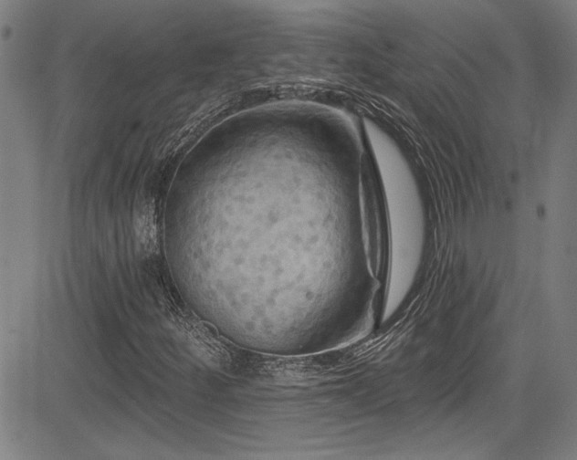 X0000085321252200703091502