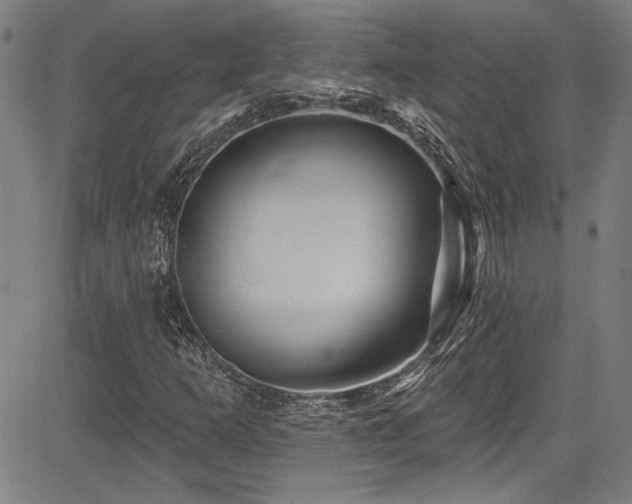 X0000085321253200703091502