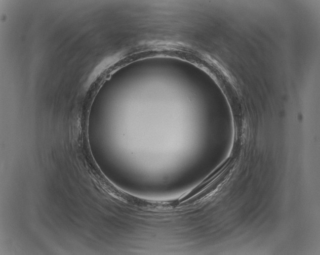 X0000085321261200703091502