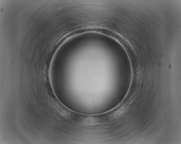 X0000085321265200703091502