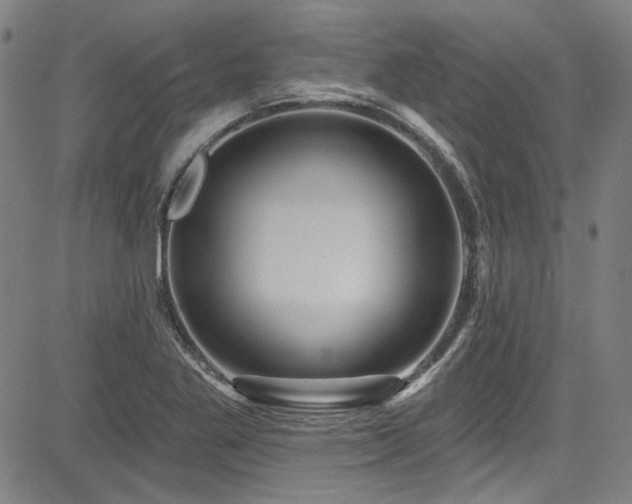 X0000085321269200703091502
