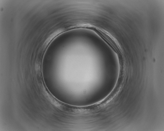 X0000085321281200703091502