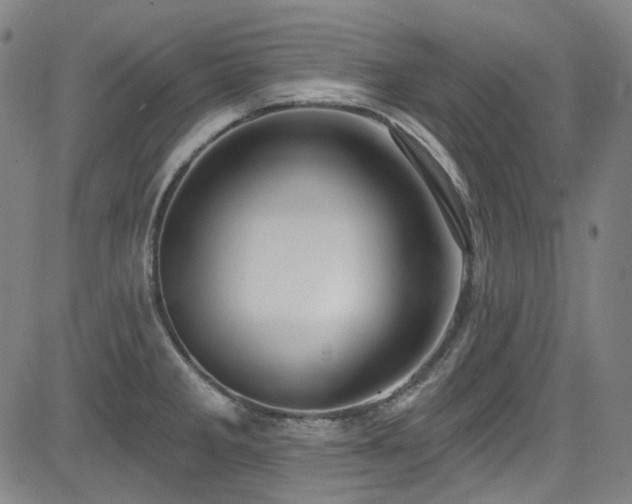 X0000085321285200703091502