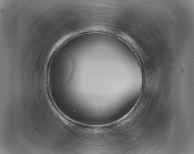 X0000085321286200703091502