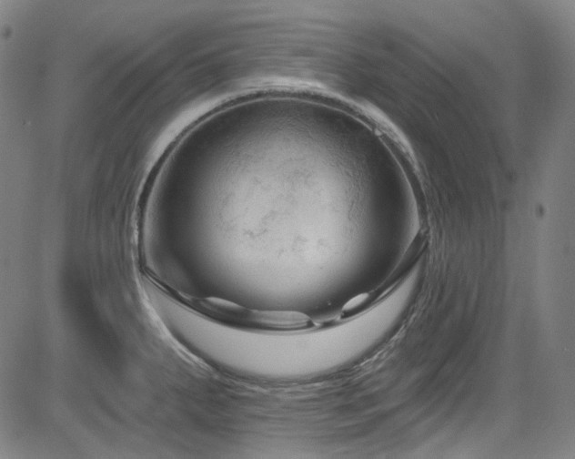 X0000085321287200703091502