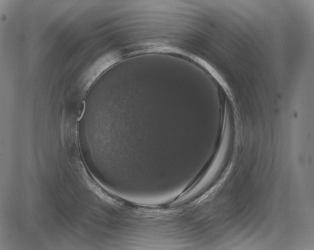 X0000085321289200703091502